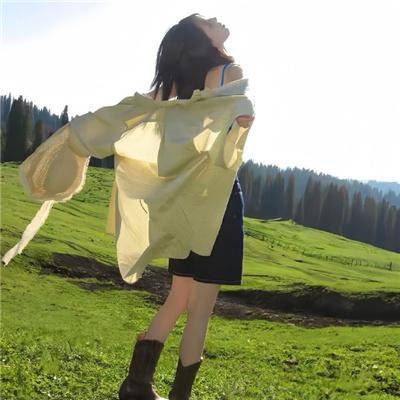 极限特工:终极回归